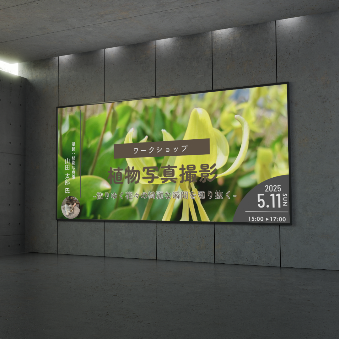 ワークショップのお知らせ サムネイル